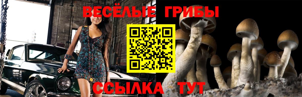 купить   Вход с VPN  Сыктывкар  Псилоцибиновые грибы Magic Shrooms 